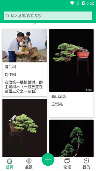 爱盆景5