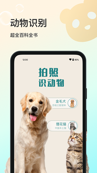 花卉识别app1