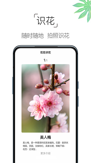 养花大全2