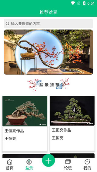 爱盆景2