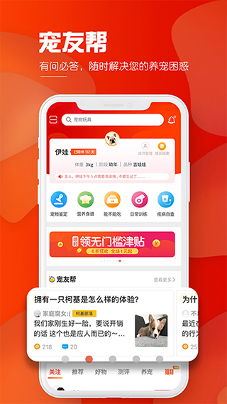 犬易app1