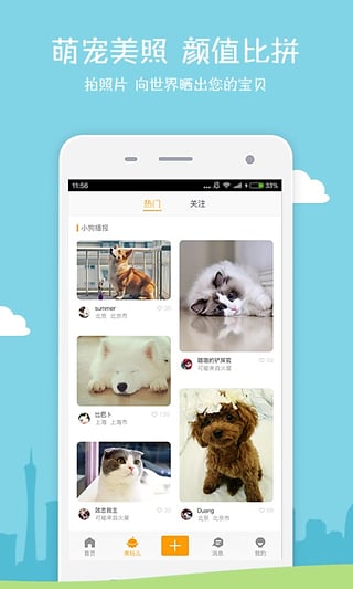 小狗在家app3