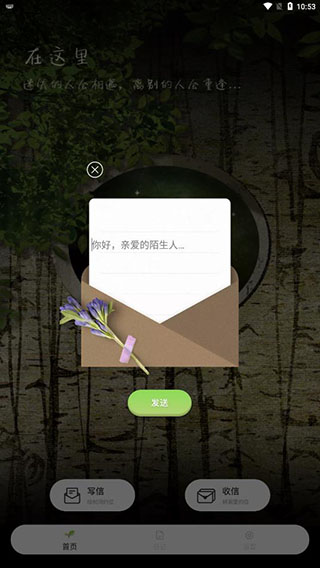 树洞倾述3