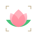 识花app