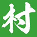 一个村app