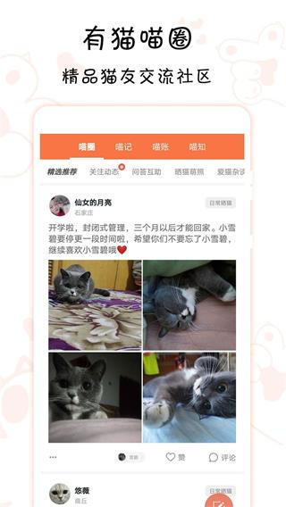 领喵app2
