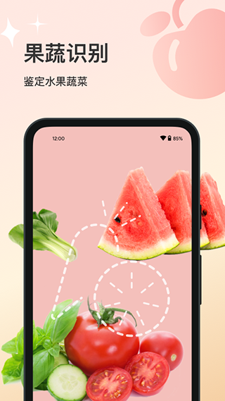 花卉识别app2