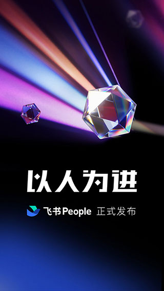 飞书视频会议1