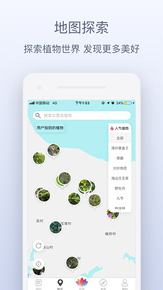 花伴侣2