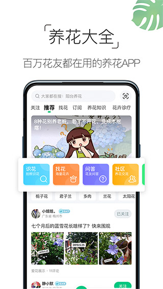 养花大全3