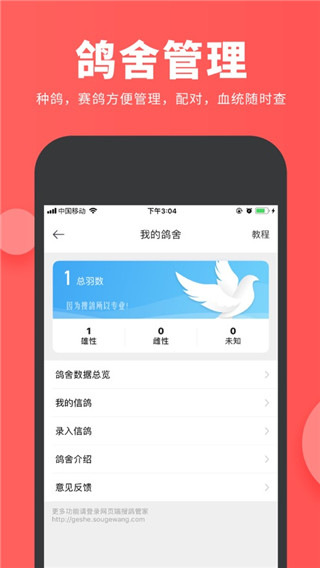 搜鸽网3