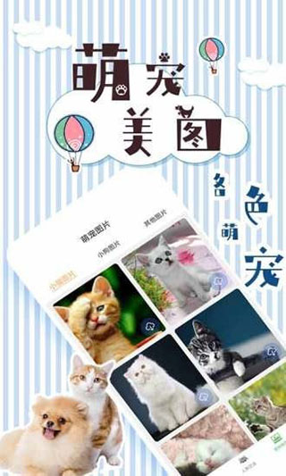 人猫翻译交流器4