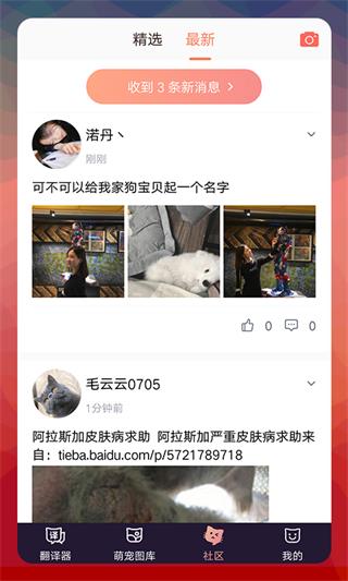 猫语翻译器4
