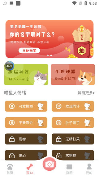 宠物翻译器5