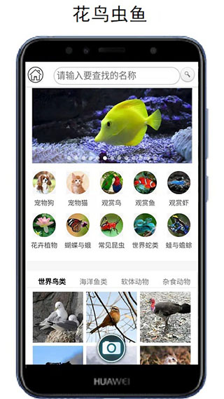 万物识别3