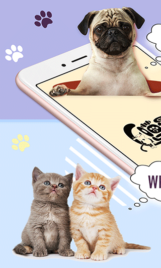 猫狗语翻译器2