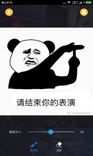 去水印大师2