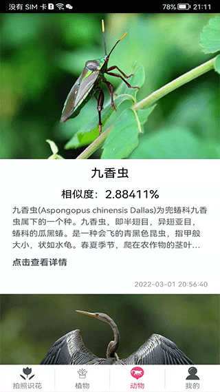 拍照识花神器app4