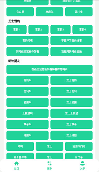 丁真盒3