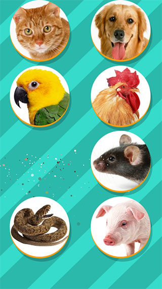 Pet Translator宠物对话翻译器4