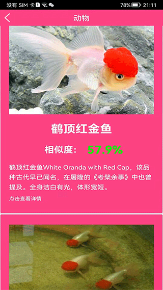 拍照识花神器app5