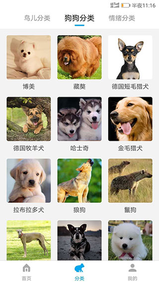 动物翻译器3