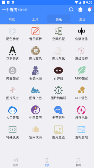 一个奇鸽5