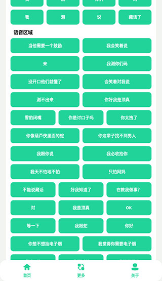 丁真盒2