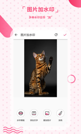 去水印相机4