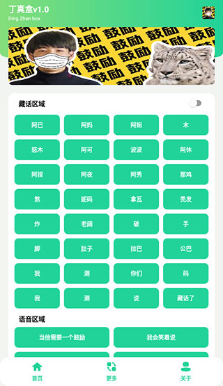 丁真盒1