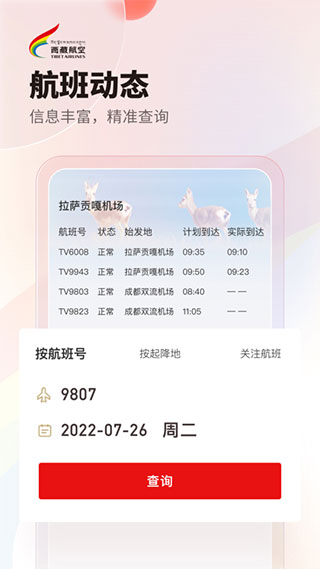 西藏航空3